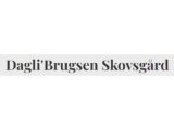 Dagli brugsen